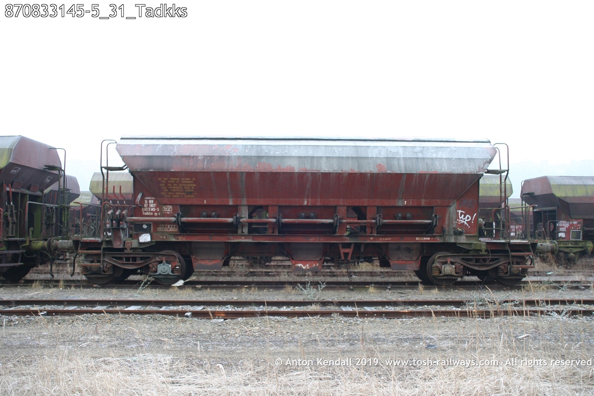 870833145-5_31_Tadkks.jpg